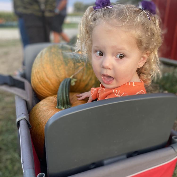 little girl in wagon with pumpkins