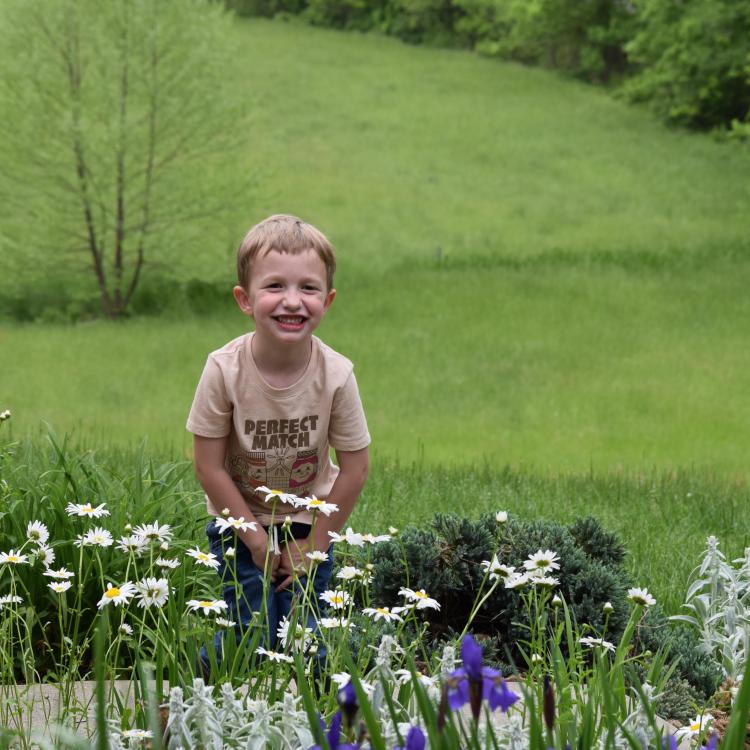 little boy with white and purple flowers