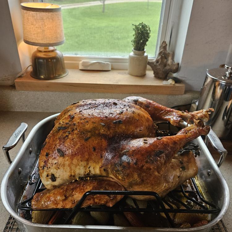 cooked turkey in roasting pan
