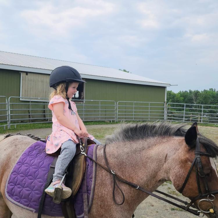 little girl on pony