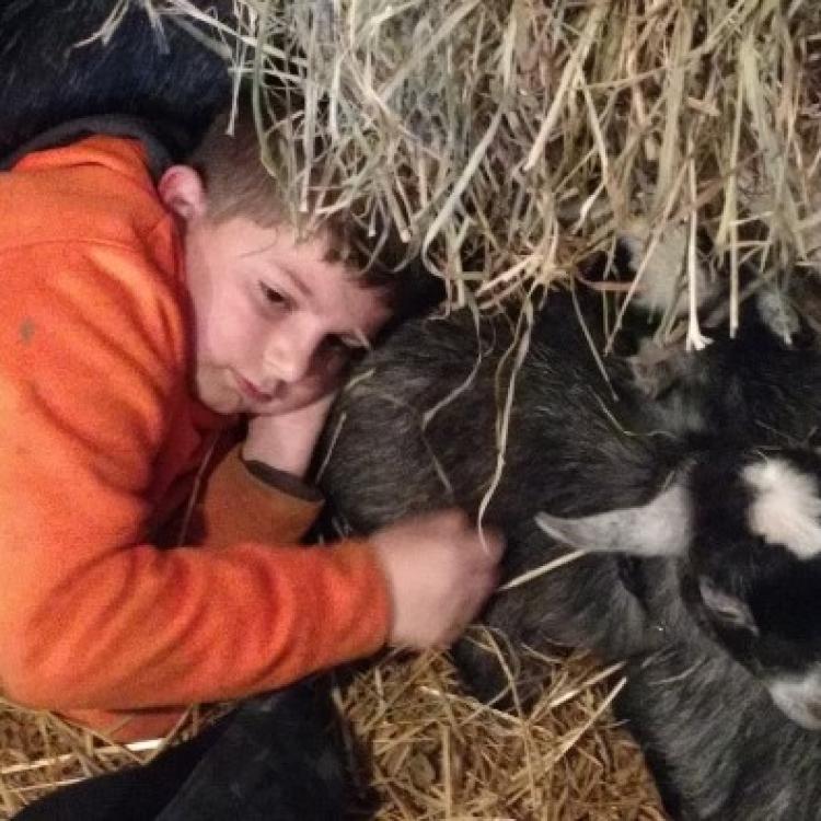 boy lying down with goats