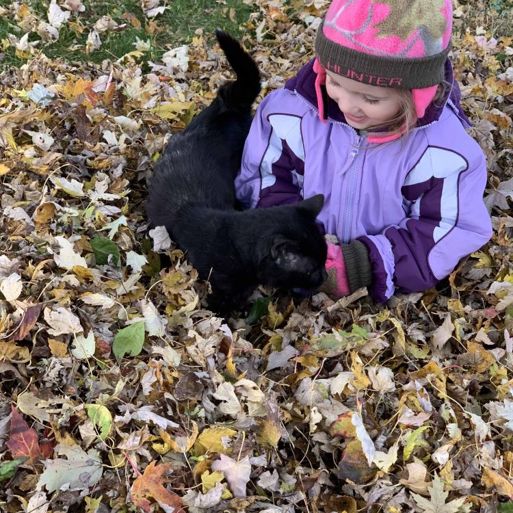 little girl in leaf pile with black cat