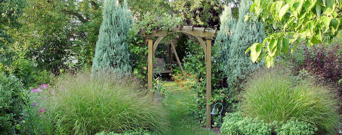 A garden at a home