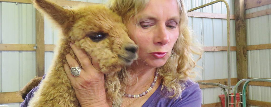 Debbie Patonai of The Alpacas of Phantasy Pharm hugs one of her new, lighter-fleeced alpacas. (Photo by Damaine Vonada)