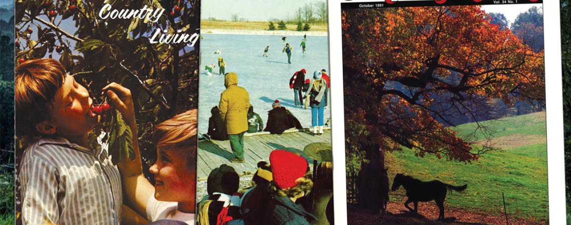 A collection of three Country Living covers.