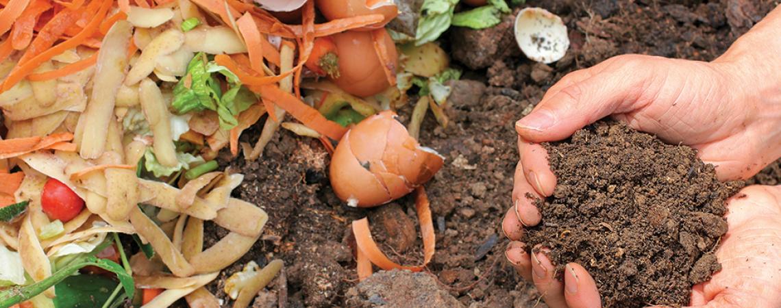 An assortment of potato peels, carrot peels, eggshells, and soil.