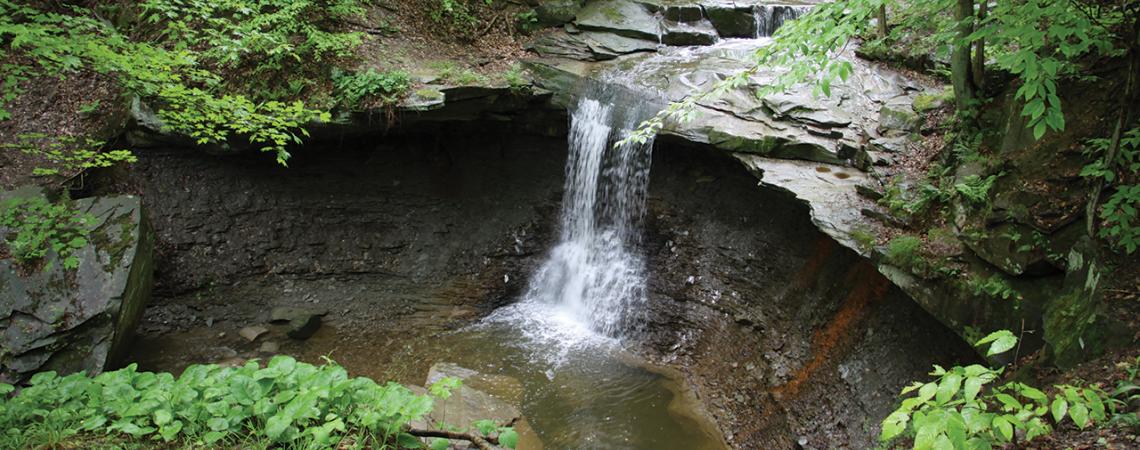 A small waterfall in Cuyahoga Valley National Park surrounded by greenery.