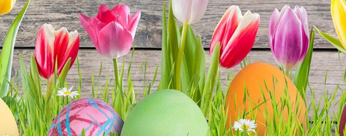 Three Easter eggs sit below colorful tulips.