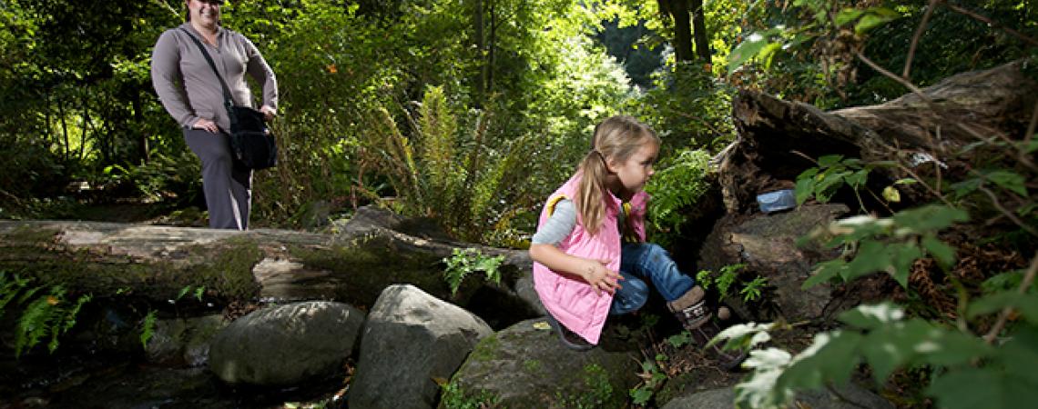 A girl looks at something in a log while a woman stands behind her.