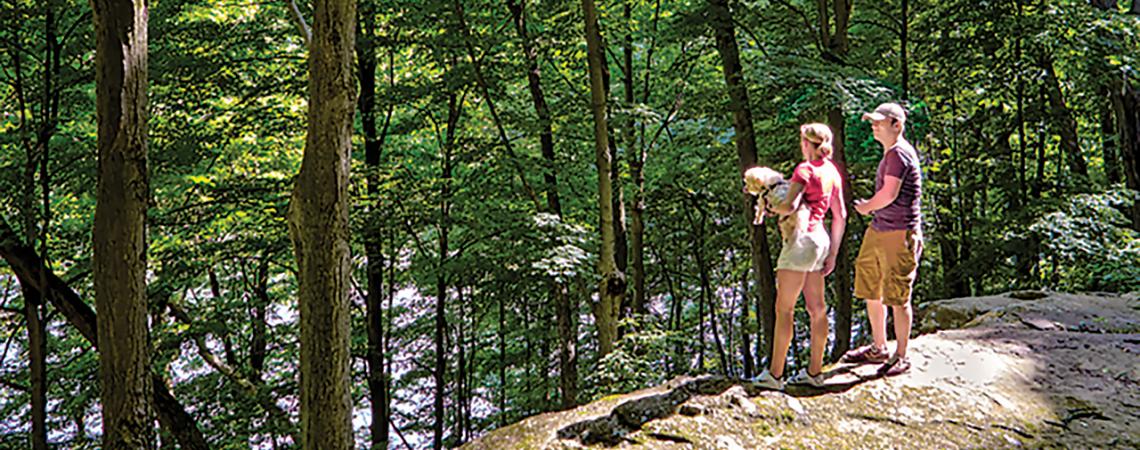 A couple and their dog look at the forest from a cliff.