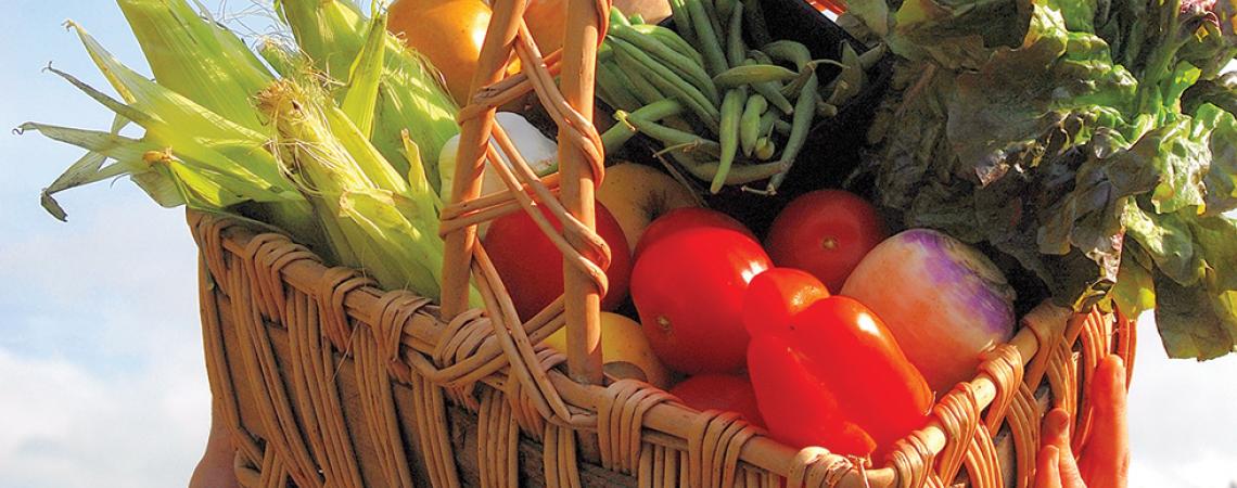 A basket containing vegetables, including corn, green beans, tomatoes, and peppers.