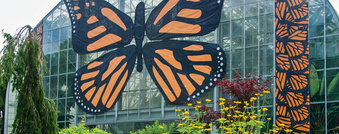 The outside of the Krohn Conservatory, which features a giant monarch butterfly over its door.