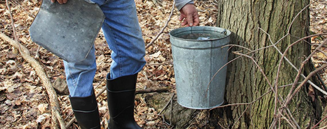 Gordon McDonald checks a sap bucket on his brother Gary’s farm near Chardon.