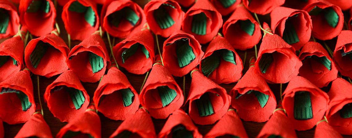 A picture of paper poppy flowers.