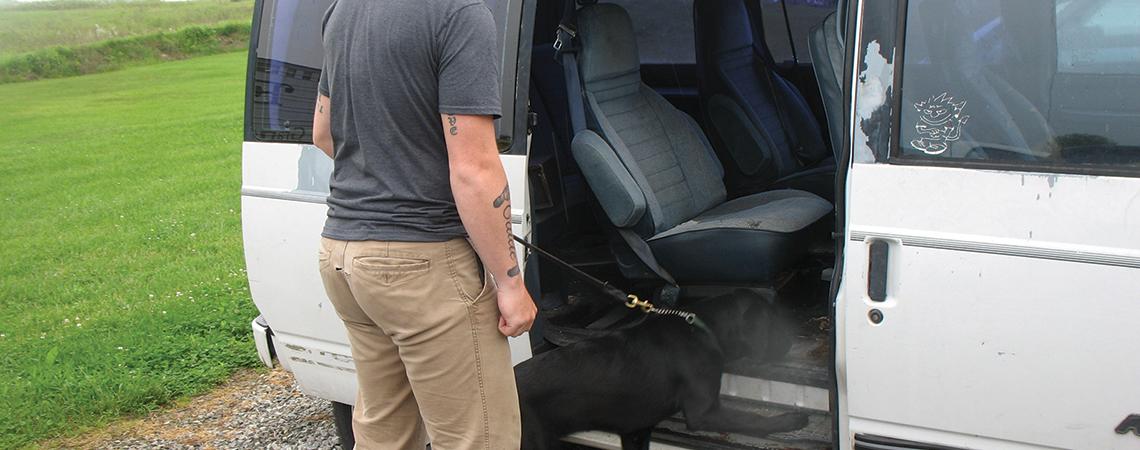 Dog searches van