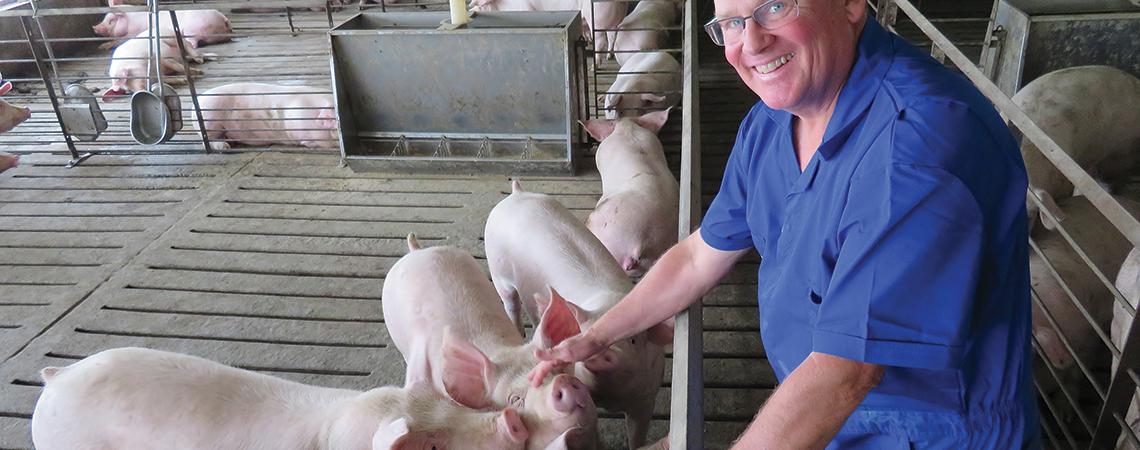 Tom Graham with pigs