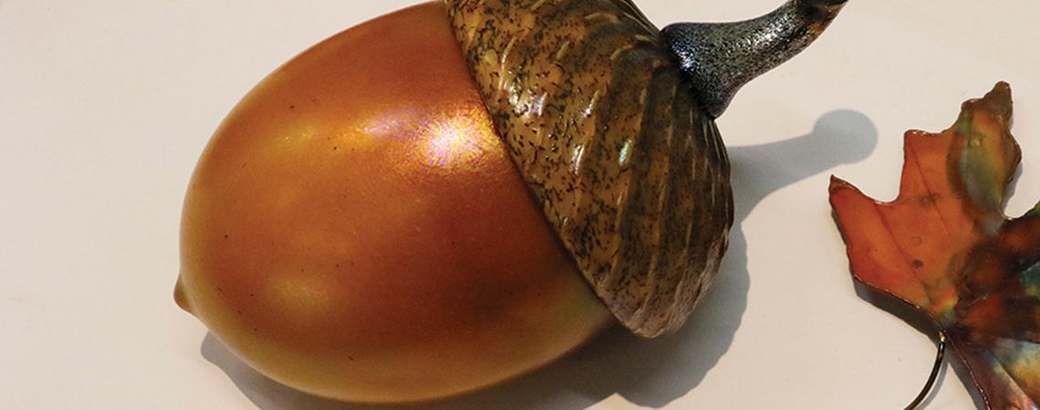 Acorn