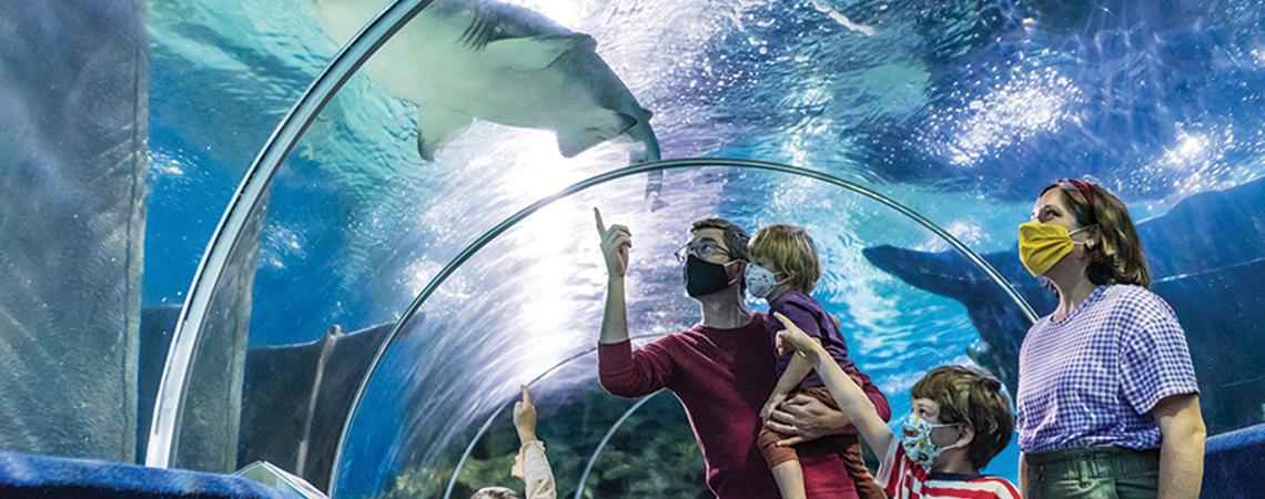 Greater Cleveland Aquarium