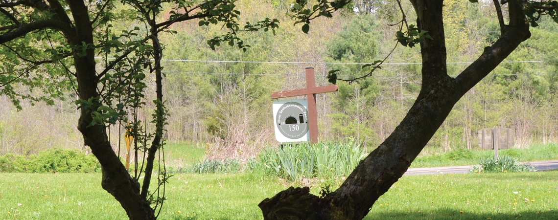 Two offshoots growing from an old, decaying stump are all that’s left of the last living tree planted by Johnny Appleseed, which still occasionally produces fruit in Ashland County.