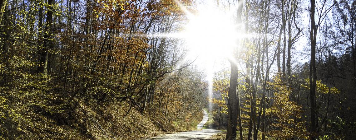 November - "Sunburst on Country Road" by Michelle Wittensoldner