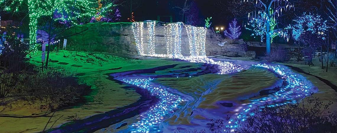 More than 450,000 twinkly lights make a magical winter wonderland outside on the conservatory grounds.