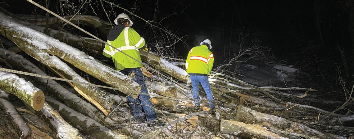 Lineworkers cutting trees that fell on power lines during a winter storm.
