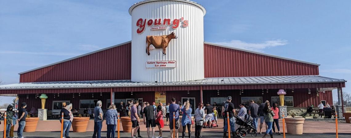 Young's Jersey Dairy