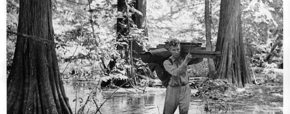 This photo shows Maslowski hiking through the cypress swamp at Reelfoot Lake in Tennessee, carrying materials for a blind he built 100 feet up in the canopy to film a nesting colony of great egrets. His wildlife writing, photos, and films became part of an environmental movement in America.