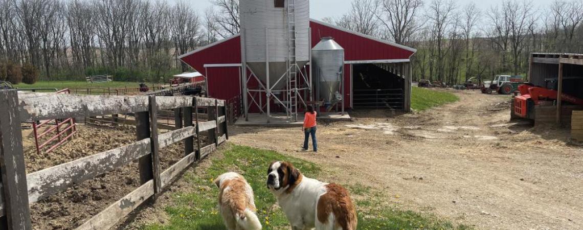 Along with her husband and three daughters, Brandi Anderson’s world includes, at any one time, more than 100 head of cattle, dozens of turkeys, hundreds of chickens, and her two friendly St. Bernard dogs.