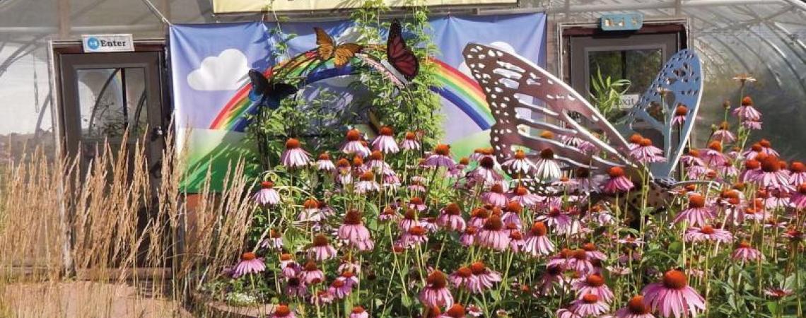 The family-friendly Butterfly House is a hands-on indoor space where visitors can interact with — and even feed — native butterflies.