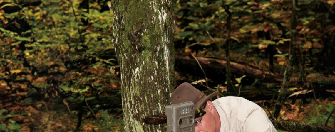 For years, Robert Bush Sr. has been using trail cameras set up near downed logs spanning small streams in Pennsylvania to capture photos of wildlife crossing the logs.