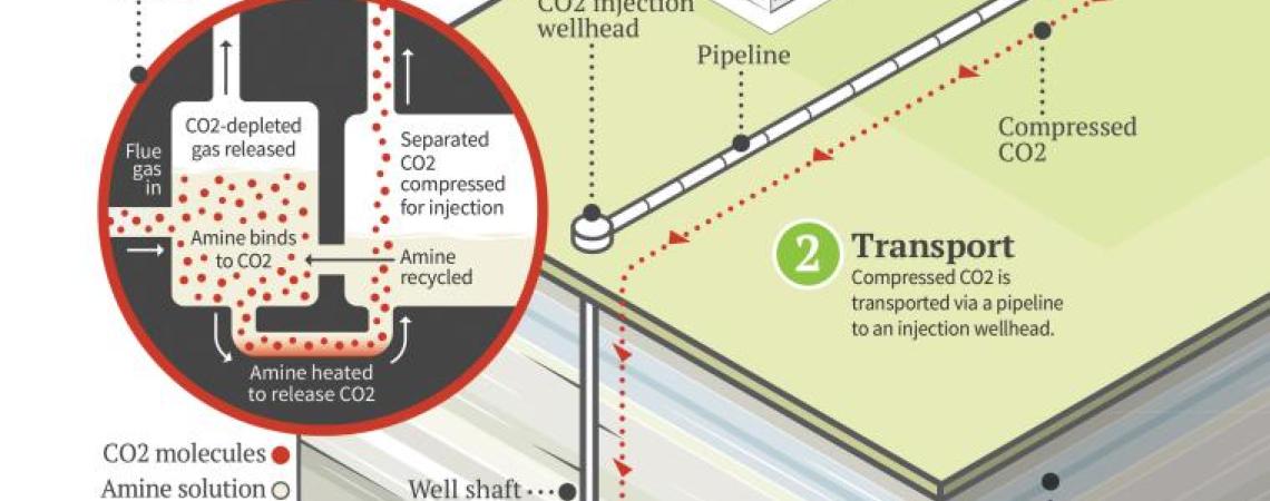 An infographic describing the process of carbon capture and storage, otherwise known as CCS.