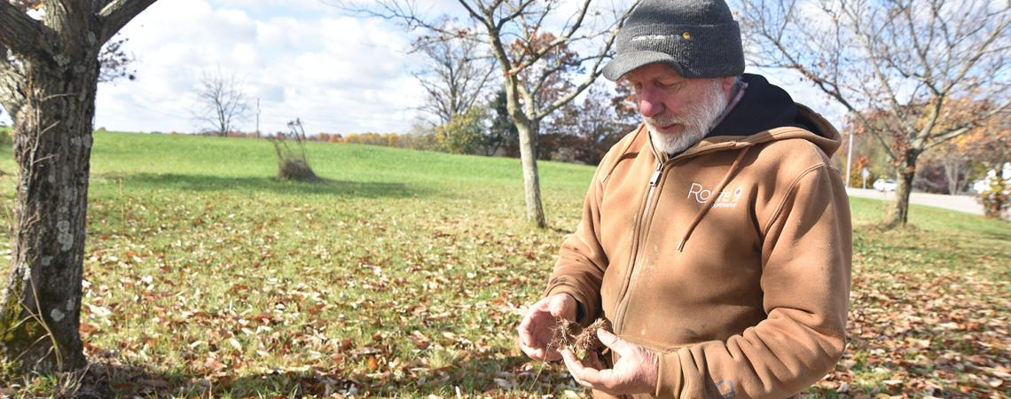 Greg Miller on his chestnut farm