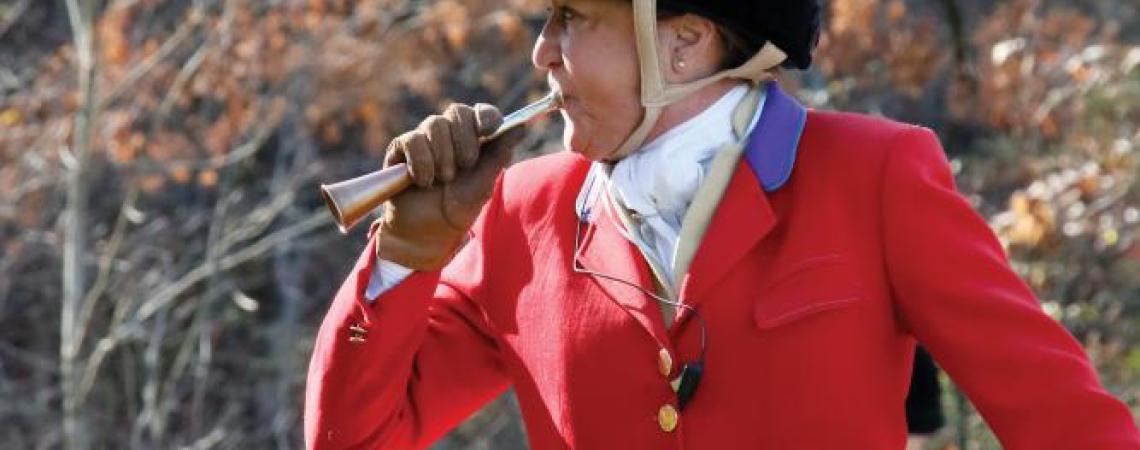 A woman using a hunting horn to call her hounds during a fox hunt.
