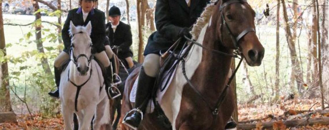 Equestrians riding through the woods during a fox hunt.