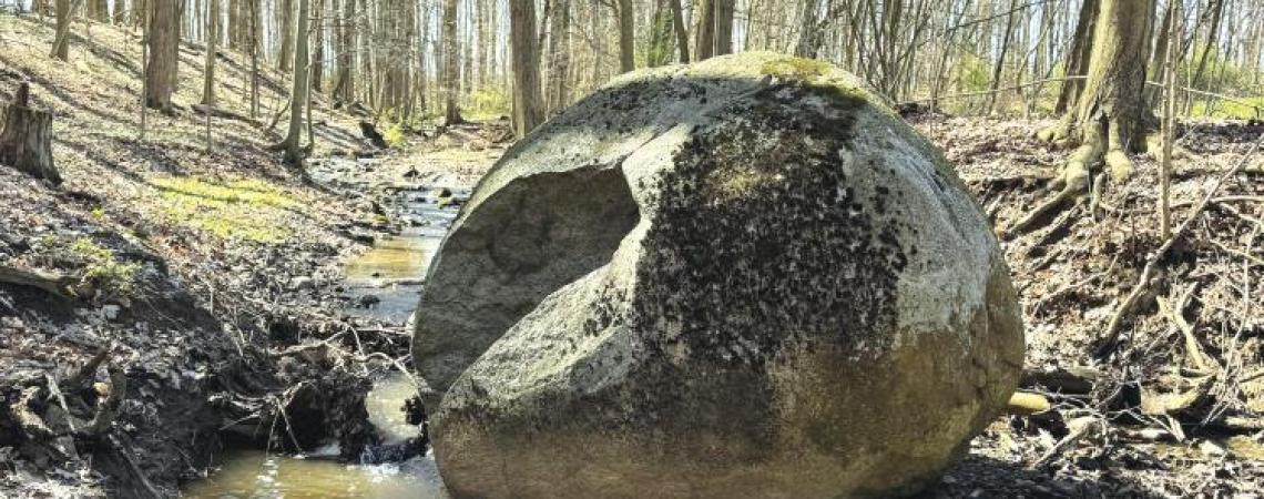 a large boulder pictured in the woods