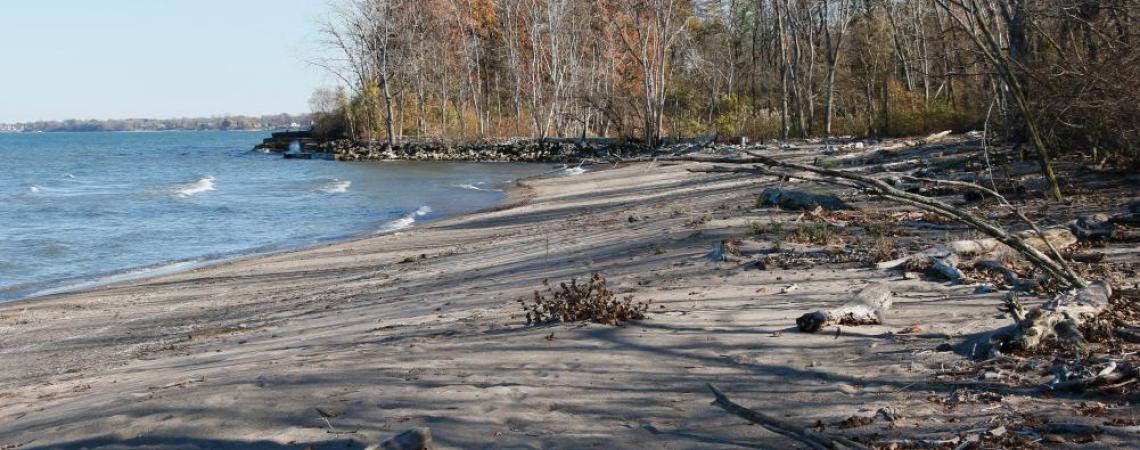 The Old Woman Creek barrier beach