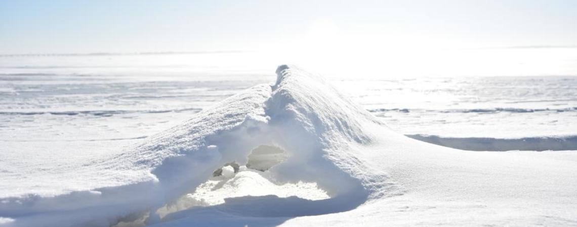 On Sandusky Bay, two opposing snow-covered ice sheets buckle as the currents below slowly propel them into one another.