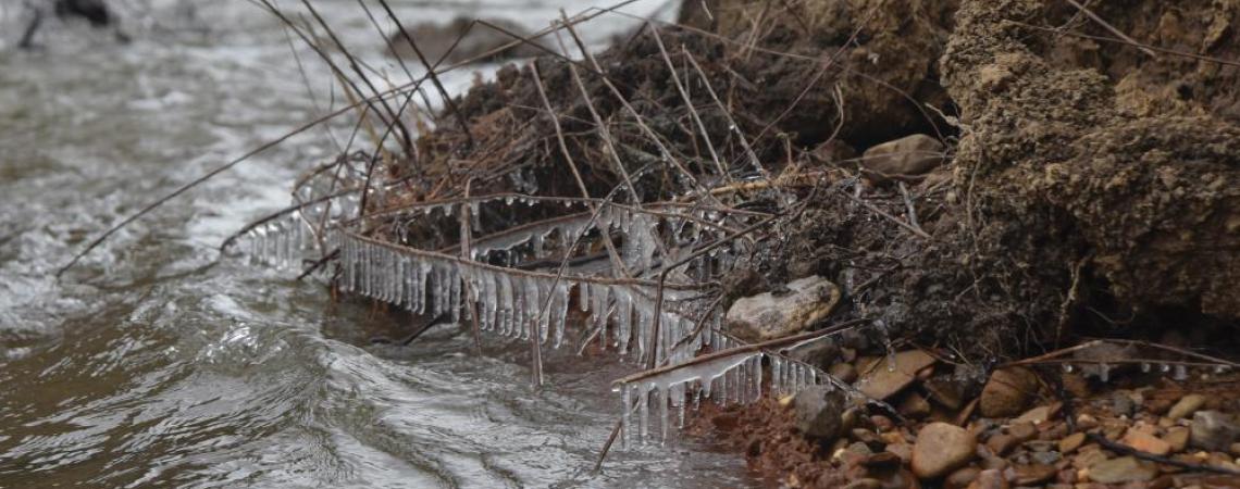 On the Cuyahoga River, subsiding water levels leave icicles on any host they can find.