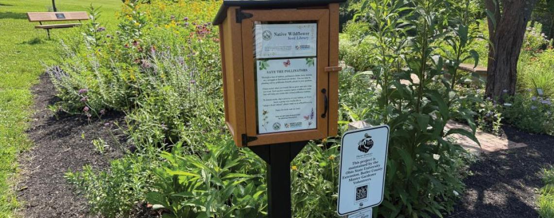 A community seed library